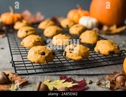 Nahaufnahme von Kürbis Chocolate Chip Cookies auf einem Gitter. Stockfoto