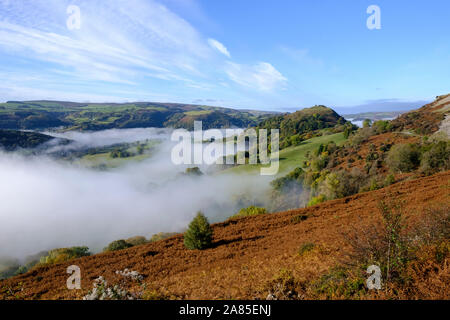 Am frühen Morgen Nebel im Dee Valley mit Blick auf Castell Dinas Brân Llangollen Denbighshire Wales Stockfoto