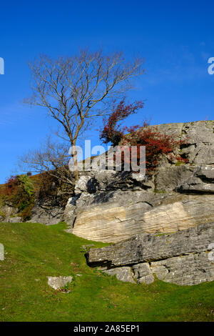Herbstfarbe im Dee Valley Llangollen Denbighshire Wales Stockfoto