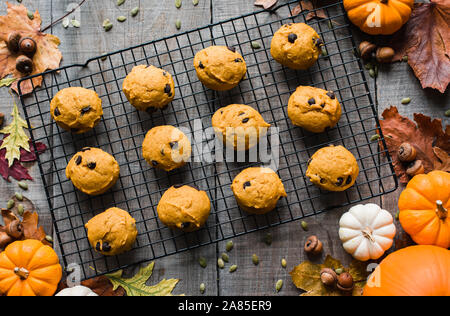 Ansicht von oben von Pumpkin Chocolate Chip Cookies auf Gitter. Stockfoto