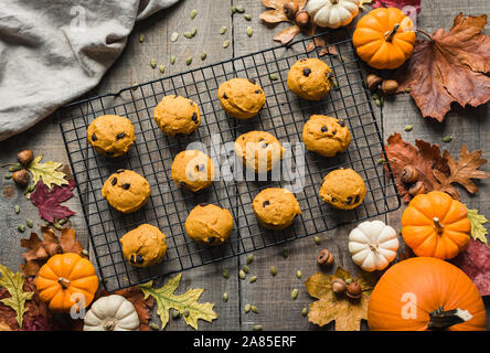 Ansicht von oben von Pumpkin Chocolate Chip Cookies auf ein Gitter. Stockfoto