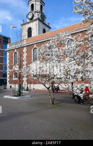 Magnolia x loebneri 'Merrill' als Straße Baum in der Nähe von St George die Märtyrer der Kirche, Gemeinde, London SE1 verwendet Stockfoto