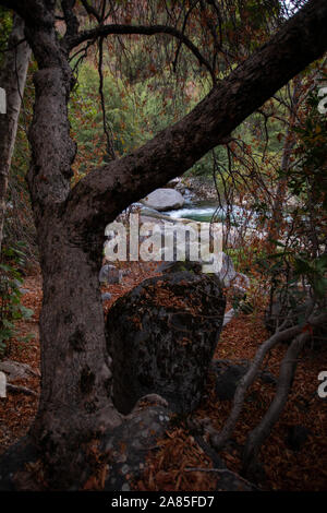 Mittlere Gabel Kaweah River Stockfoto