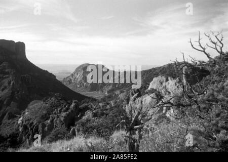 Wanderung im Big Bend Nationalpark, Texas, USA, 1950er. Wandern durch Big Bend National Park, Texas, USA, 1950er Jahre. Stockfoto