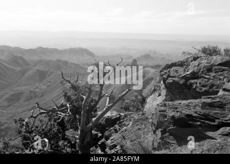 Wanderung im Big Bend Nationalpark, Texas, USA, 1950er. Wandern durch Big Bend National Park, Texas, USA, 1950er Jahre. Stockfoto