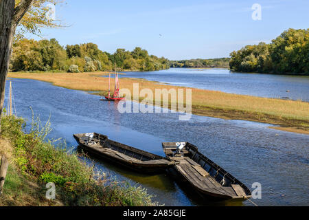 Frankreich, Cher, Berry, St. Satur, der Loire und der Spitze des konstanten Insel // Frankreich, Cher (18), Berry, Pouilly-sur-Loire, la Loire et la Pointe de l'îl Stockfoto