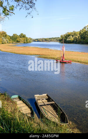 Frankreich, Cher, Berry, St. Satur, der Loire und der Spitze des konstanten Insel // Frankreich, Cher (18), Berry, Pouilly-sur-Loire, la Loire et la Pointe de l'îl Stockfoto