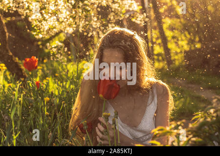Mädchen in weißem Kleid riechen Tulip im Sonnenuntergang unter Flusen, Löwenzahn und Kirschblüten im Frühling Stockfoto