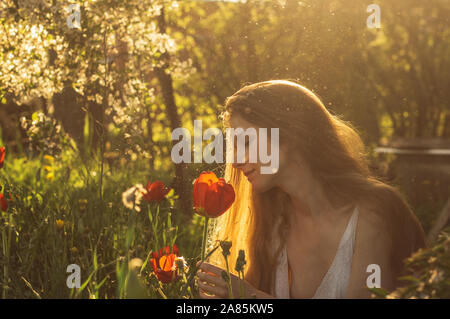 Mädchen in weißem Kleid riechen Tulip im Sonnenuntergang unter Flusen, Löwenzahn und Kirschblüten im Frühling Stockfoto
