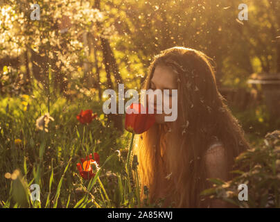 Mädchen in weißem Kleid riechen Tulip im Sonnenuntergang unter Flusen, Löwenzahn und Kirschblüten im Frühling Stockfoto