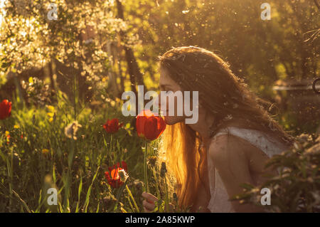 Mädchen in weißem Kleid riechen Tulip im Sonnenuntergang unter Flusen, Löwenzahn und Kirschblüten im Frühling Stockfoto