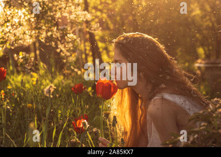 Mädchen in weißem Kleid riechen Tulip im Sonnenuntergang unter Flusen, Löwenzahn und Kirschblüten im Frühling Stockfoto