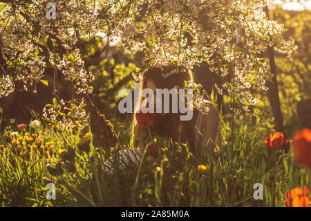 Mädchen in weißem Kleid riechen Tulip im Sonnenuntergang, Löwenzahn und Kirschblüten im Frühling Stockfoto