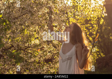 Mädchen in weißem Kleid unter Kirschblüten im Sonnenuntergang im Frühling Stockfoto