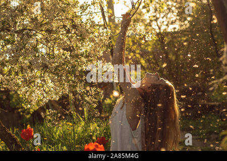 Mädchen in weißem Kleid saß mitten unter Blumen und Flusen mit warf ihren Kopf zurück in der Nähe von Tulpen im Sonnenuntergang, Löwenzahn und Kirschblüten im Frühling Stockfoto