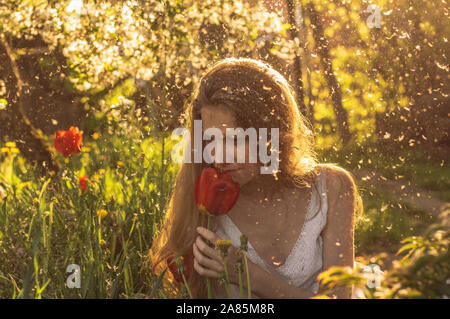 Mädchen in weißem Kleid riechen Tulip im Sonnenuntergang unter Flusen, Löwenzahn und Kirschblüten im Frühling Stockfoto