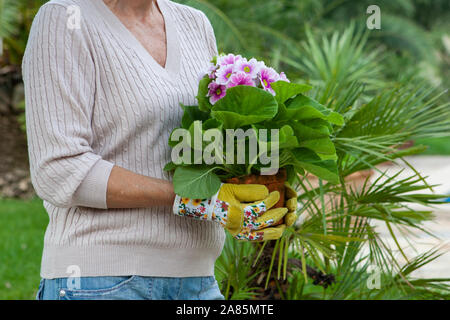 Ältere Frau Stockfoto