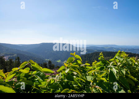 Aussichtspunkt am Mummelsee auf der 500 im Schwarzwald, Deutschland Europa EU Stockfoto