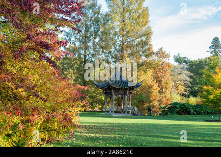 Chinesische Pagode in der RHS Wisley Gardens im Herbst. Surrey, England Stockfoto