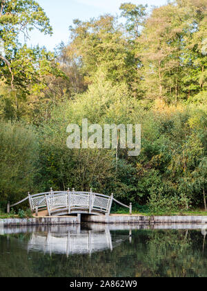 Die Kuh Teich, große Windsor Park, die in Surrey und Berkshire Grenze, das Wasser ist in der Berkshire aber die Banken in Surrey, England, UK, GB. Stockfoto