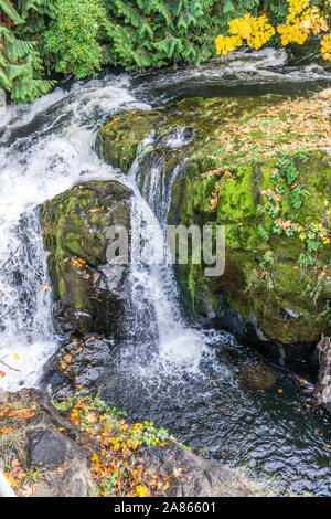 Wasser Schüsse seitlich aus dem Hauptfluss am Tumwater Falls Park. Stockfoto