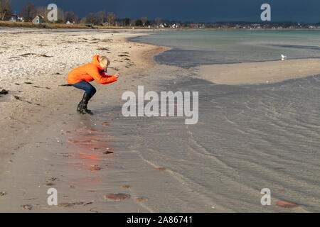 Frau fotografiert Möwe an der Strand in der Brandung Stockfoto