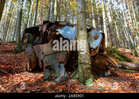 Auto Wrack im Wald, Schwarzwald, Deutschland Stockfoto