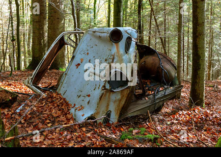 Auto Wrack im Wald, Schwarzwald, Deutschland Stockfoto