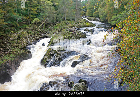 Ein Blick auf den Fluss North Esk zwischen Edzell und Gannochy in Angus, Schottland, Großbritannien, Europa. Stockfoto