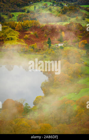 Nebel auf loughrigg Tarn in der Nähe von Ambleside, Lake District Stockfoto