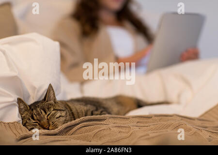 Tabby Katze schlafend im Bett mit Frau zu Hause Stockfoto