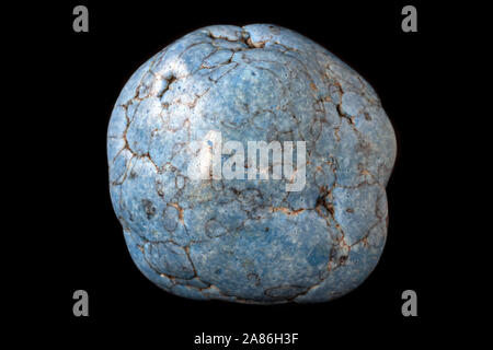 Turquoise Mineral aus Südafrika isoliert auf einem reinen schwarzen Hintergrund Stockfoto