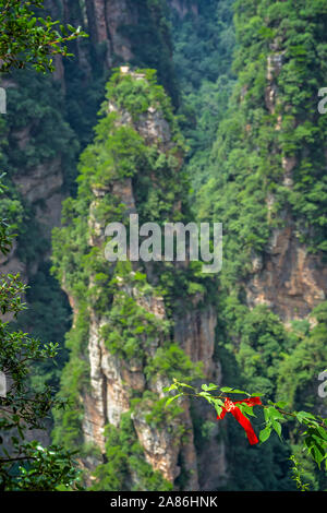 Defokussierten Memorial religiöse Bedeutung red ribbon auf einen grünen Zweig der Baumstruktur vor Vertikalen karst Säule Felsformation, von der Enc gesehen Stockfoto