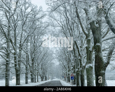 Einen schönen winter bild mit einem schneebedeckten Gasse Stockfoto