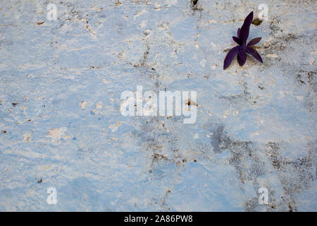 Beige anlage Wand Stockfoto
