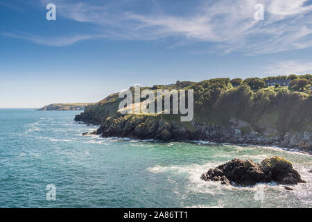 Das schöne Fischerdorf Cadgwith auf der Lizard Halbinsel, Cornwall Stockfoto