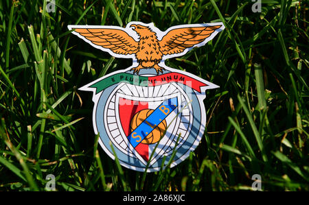 September 6, 2019 Istanbul, Türkei. Das Emblem der portugiesische Fußball-Verein Benfica Lissabon auf dem grünen Rasen der Fußball-Feld. Stockfoto