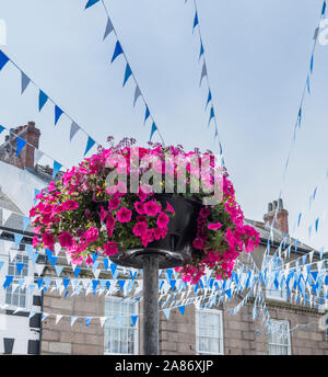 Blumen und Bunting hängend im Zentrum der Stadt, St Ives, Cornwall. Stockfoto