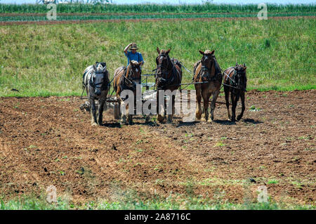 Lancaster, Pennsylvania, Mai 2010 - Amish Boy pflügt das Feld mit 5 Pferde ziehen Pflug drehen über Felder bereit für die Bepflanzung zu erhalten Stockfoto