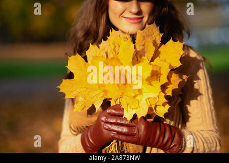 Hallo Herbst. Nahaufnahme auf lächelnde trendy 40 Jahre alte Frau in die jacke, rock, hut, handschuhe und Schal mit gelben Blättern im Freien im Herbst Park. Stockfoto