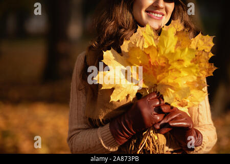 Hallo Herbst. Nahaufnahme auf Happy trendy Frau, Pullover, Rock, Mütze, Handschuhe und Schal im Freien im Herbst park Holding gelbe Blätter. Stockfoto