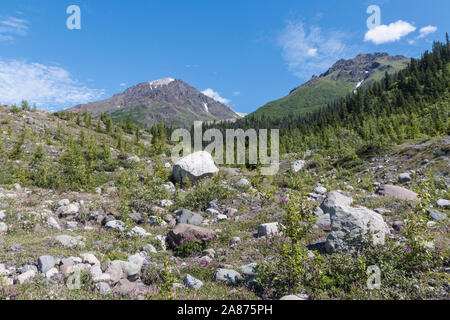 Querformat des Wrangell-St. Elias National Park in Alaska, der größte Nationalpark in den Vereinigten Staaten. Stockfoto