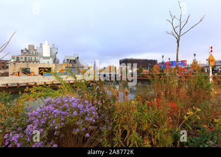 Eine winzige wildflower Garten auf der Gowanus Canal, Brooklyn, New York Stockfoto