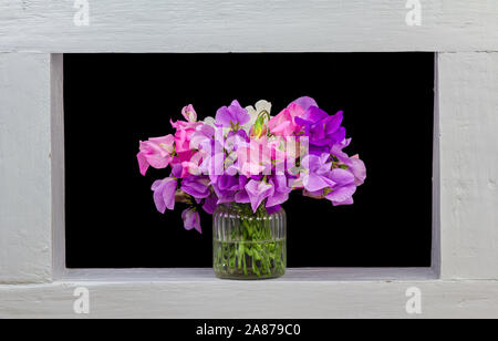 Ein Bündel von Sweet pea Blumen gerahmten schwarzen Hintergrund Stockfoto