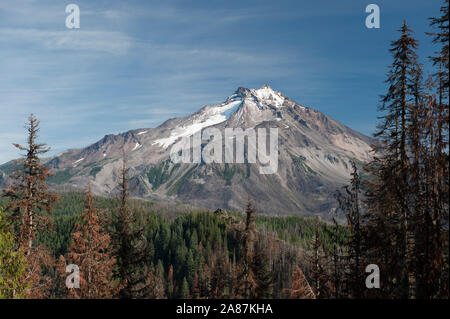 Ein Blick auf die Oregon Mount Jefferson von der Triangulation Peak Trail #3373, mit ein paar Reste der Whitewater Brand 2017 im Vordergrund. Stockfoto