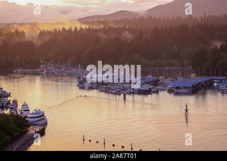 Vancouver, Kanada. 03 Sep, 2014. 03.09.2014, Kanada, Vancouver, Hafen, Segelboote, Nebel, Wald Credit: schneefeld Fotografie | Verwendung weltweit/dpa/Alamy leben Nachrichten Stockfoto