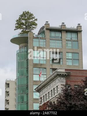 Vancouver, Kanada. 03 Sep, 2014. 03.09.2014, Kanada, Vancouver, Baum auf der Terrasse von einem Wolkenkratzer, Skyscraper, Dachterrasse, Garten, Foto: schneefeld Fotografie | Verwendung der weltweiten Kredit: dpa/Alamy leben Nachrichten Stockfoto