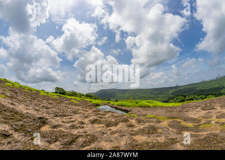 Aussicht auf den tropischen Wald in dem Sanjay Gandhi Nationalpark Mumbai Maharashtra Indien. In der Nähe von kanheri Caves in Mumbai, Indien. Stockfoto