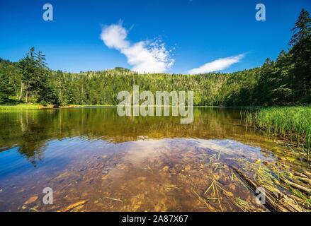 See Rachelsee, im Hintergrund Gipfel der gröberen Rachel, Nationalpark Bayerischer Wald, Bayern, Deutschland Stockfoto