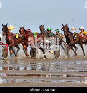 Pferderennen, im Wattenmeer auf Trab, Duhne watt Rennen, Cuxhaven, Niedersachsen, Deutschland Stockfoto